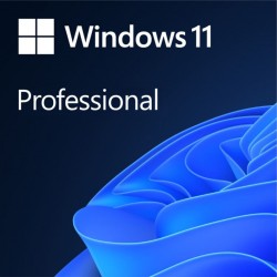 Microsoft Windows 11 Professional ESD 64-bit All Language Pack License Online Download NR FQC-10572